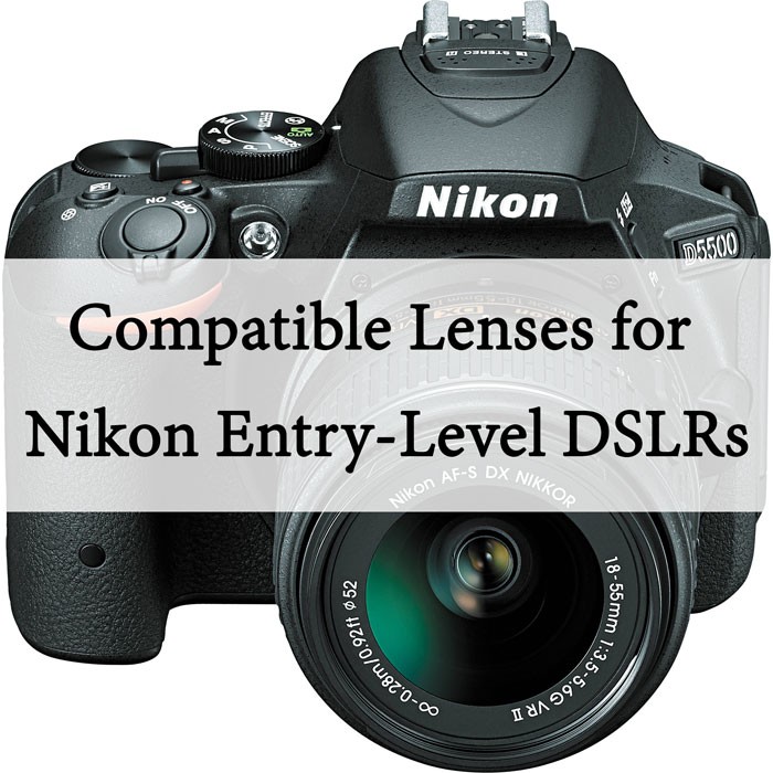 D3100 Lens Compatibility Chart