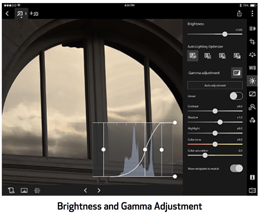 Canon Releases Digital Photo Professional Express for iPad